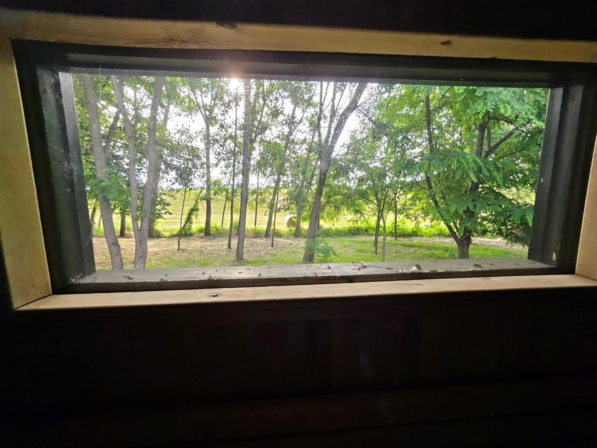 Meszes Apartman Kalocsa Habitación foto